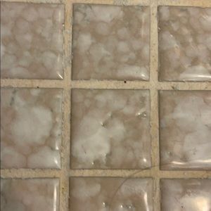 Meet your Posher, Sarva